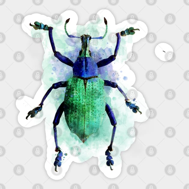 Dramabite Watercolor beetle green purple turquoise insect painting Sticker by dramabite